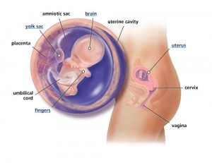 week10