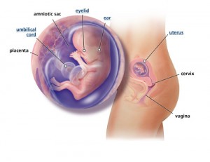 week12